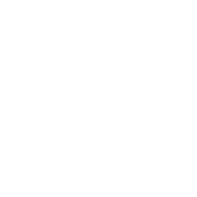Data Analytics & AI