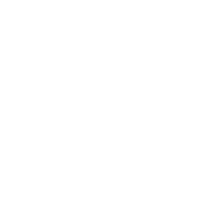 Developer Team